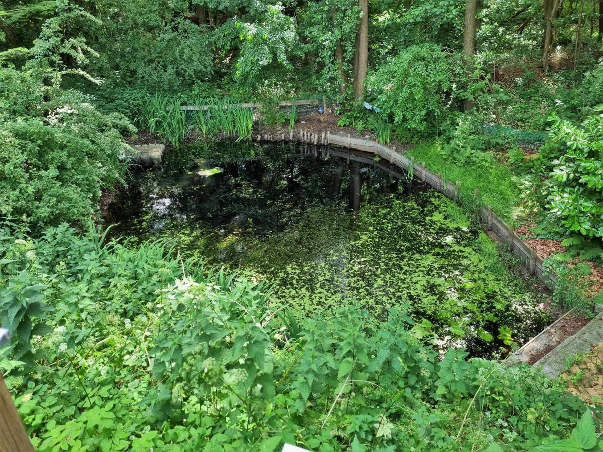 Ferienhaus Paulsen - Gemuetliches Haeuschen Mit Vollstaendig Eingezaeuntem Garten Und Kamin Silberstedt Eksteriør billede